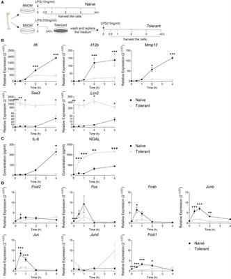 The Transcription Factor FRA-1/AP-1 Controls Lipocalin-2 Expression and Inflammation in Sepsis Model